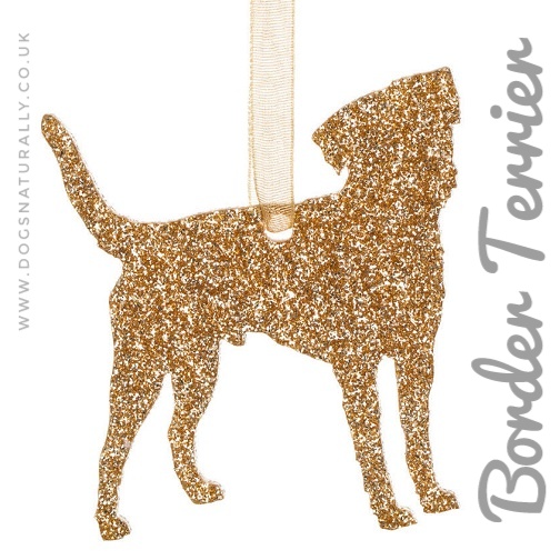 Border Terrier Glitter Decoration (Gold)